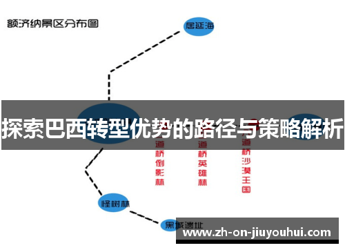 探索巴西转型优势的路径与策略解析