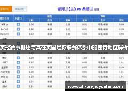 英冠赛事概述与其在英国足球联赛体系中的独特地位解析 英冠赛事概述与其在英国足球联赛体系中的独特地位解析